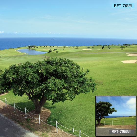 【ドローン不要！高所撮影が可能】ルーフトップセブン Wi-Fiタイプ