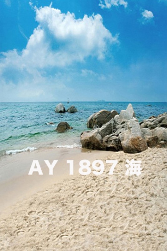 マイクロファイバー・撮影用シーン背景(1.5x2m)_AY15-1897