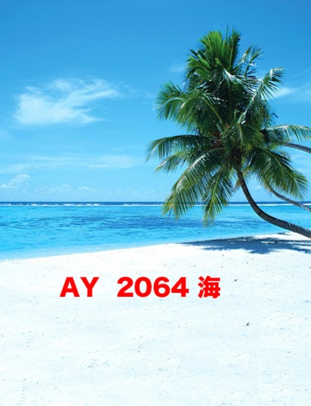 マイクロファイバー・撮影用シーン背景(1.5x2m)_AY15-2064