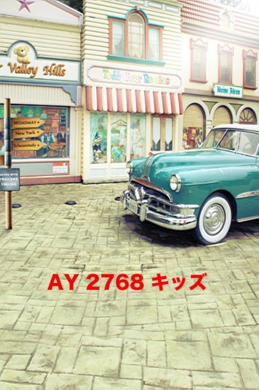 マイクロファイバー・撮影用シーン背景(1.5x2m)_AY15-2768