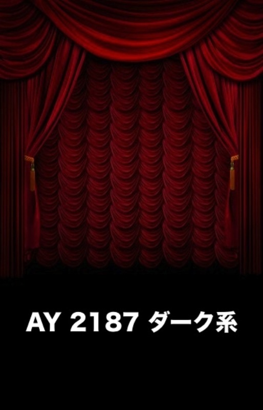 マイクロファイバー・撮影用シーン背景(2x3m)_AY23-2187