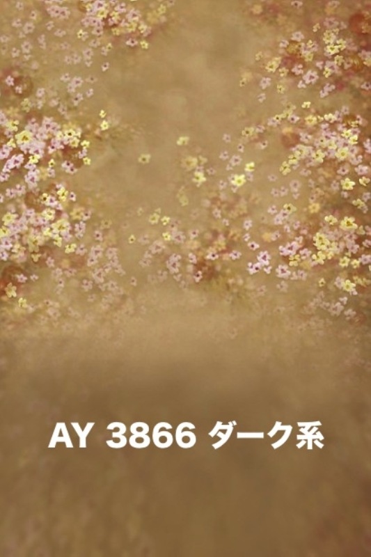 マイクロファイバー・撮影用シーン背景(2x3m)_AY23-3866