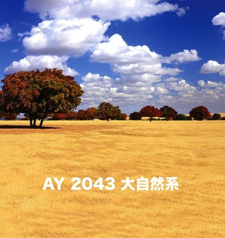 マイクロファイバー・撮影用シーン背景(2x3m)_AY23-2043