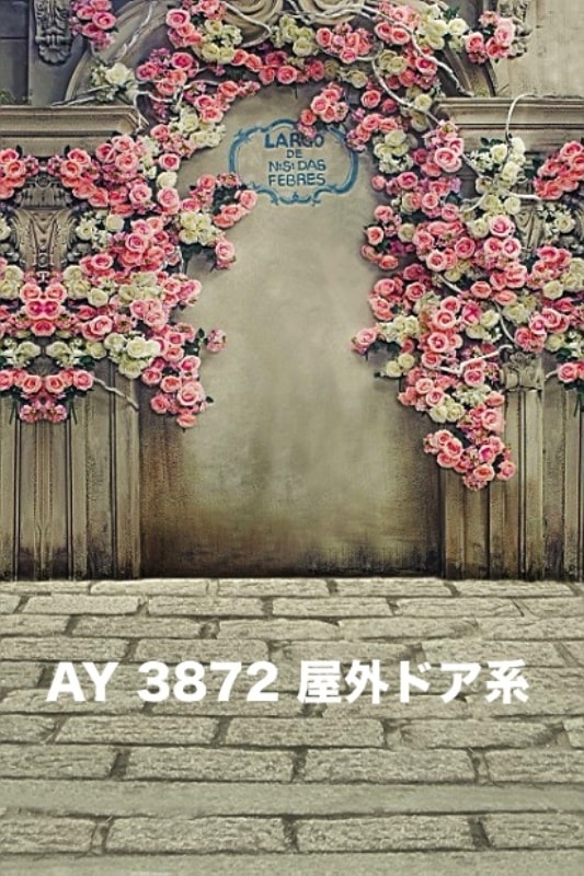 マイクロファイバー・撮影用シーン背景(2x3m)_AY23-3872