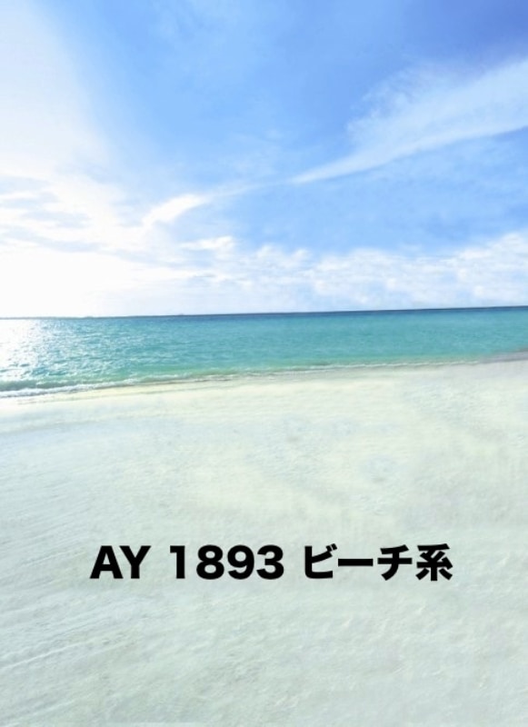 マイクロファイバー・撮影用シーン背景(2x3m)_AY23-1893