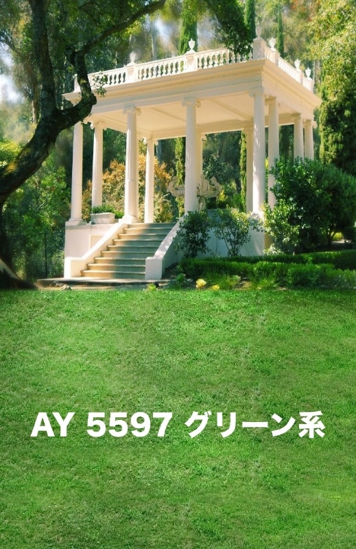 マイクロファイバー・撮影用シーン背景(2x3m)_AY23-5597