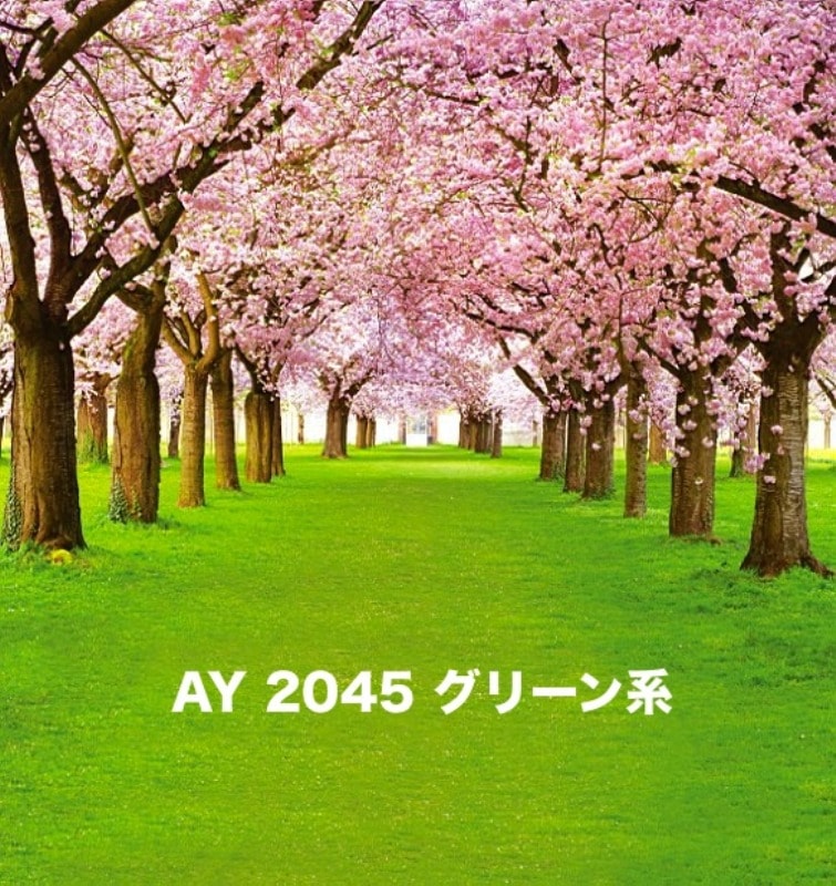 マイクロファイバー・撮影用シーン背景(2x3m)_AY23-2045