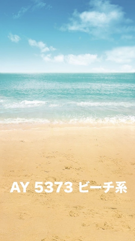 マイクロファイバー・撮影用シーン背景(2x3m)_AY23-5373