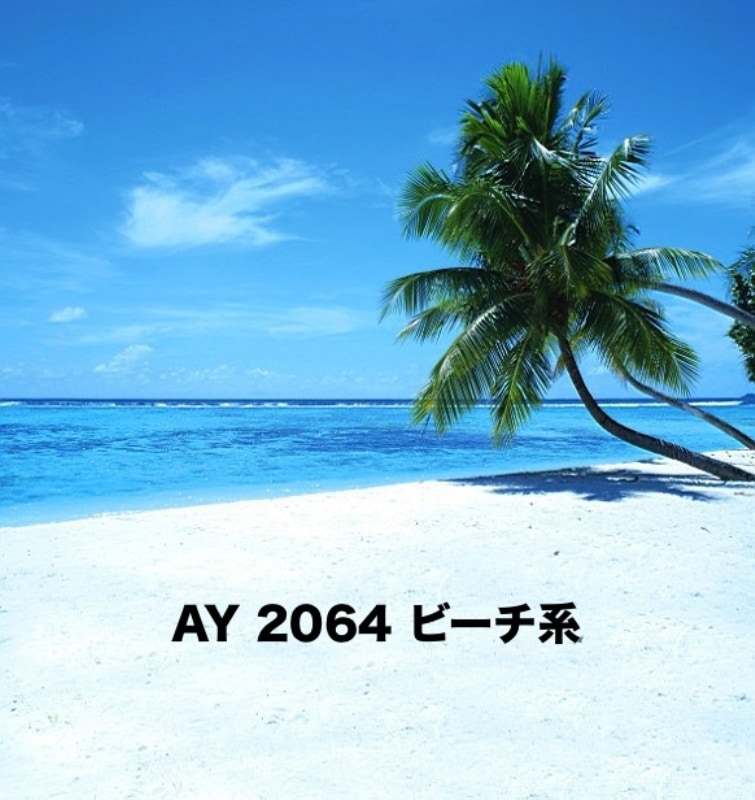 マイクロファイバー・撮影用シーン背景(2x3m)_AY23-2064