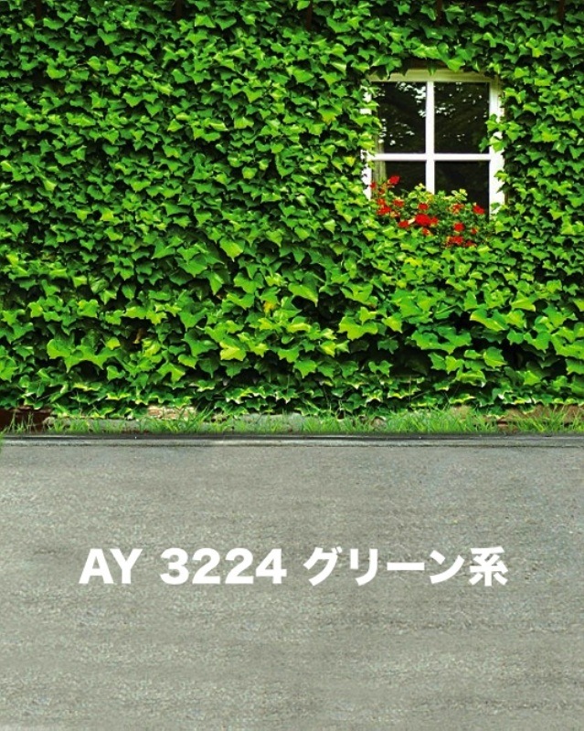 マイクロファイバー・撮影用シーン背景(2x3m)_AY23-3224