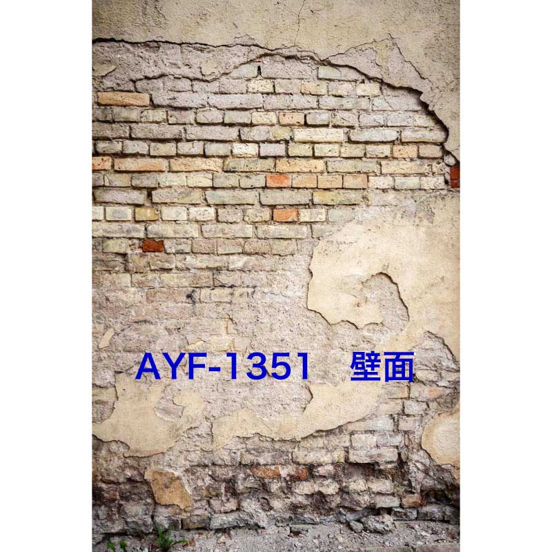 マイクロファイバー・撮影用シーン背景(1.5x2m)_AY15F-1351