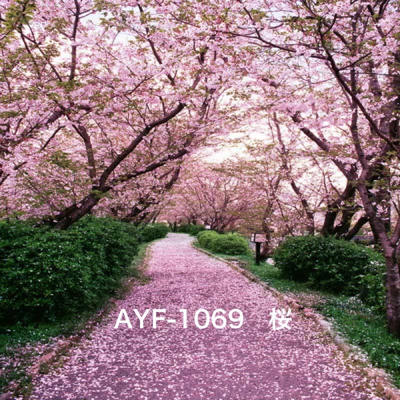 マイクロファイバー・撮影用シーン背景(1.5x2m)_AY15F-1069