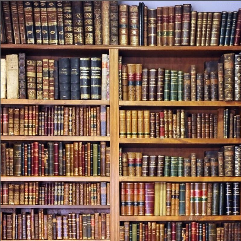 マイクロファイバー・撮影用シーン背景_3m×3m_LL-0047(本棚)【お取り寄せ品】