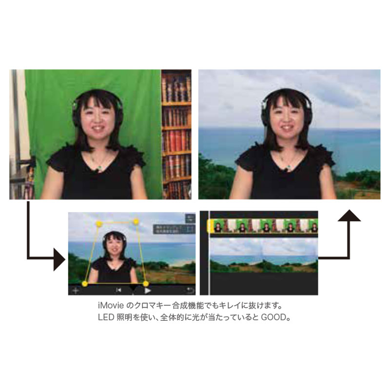 マイクロファイバー・撮影用シーン背景グリーン(横3m×縦3m)_LL-0048-33