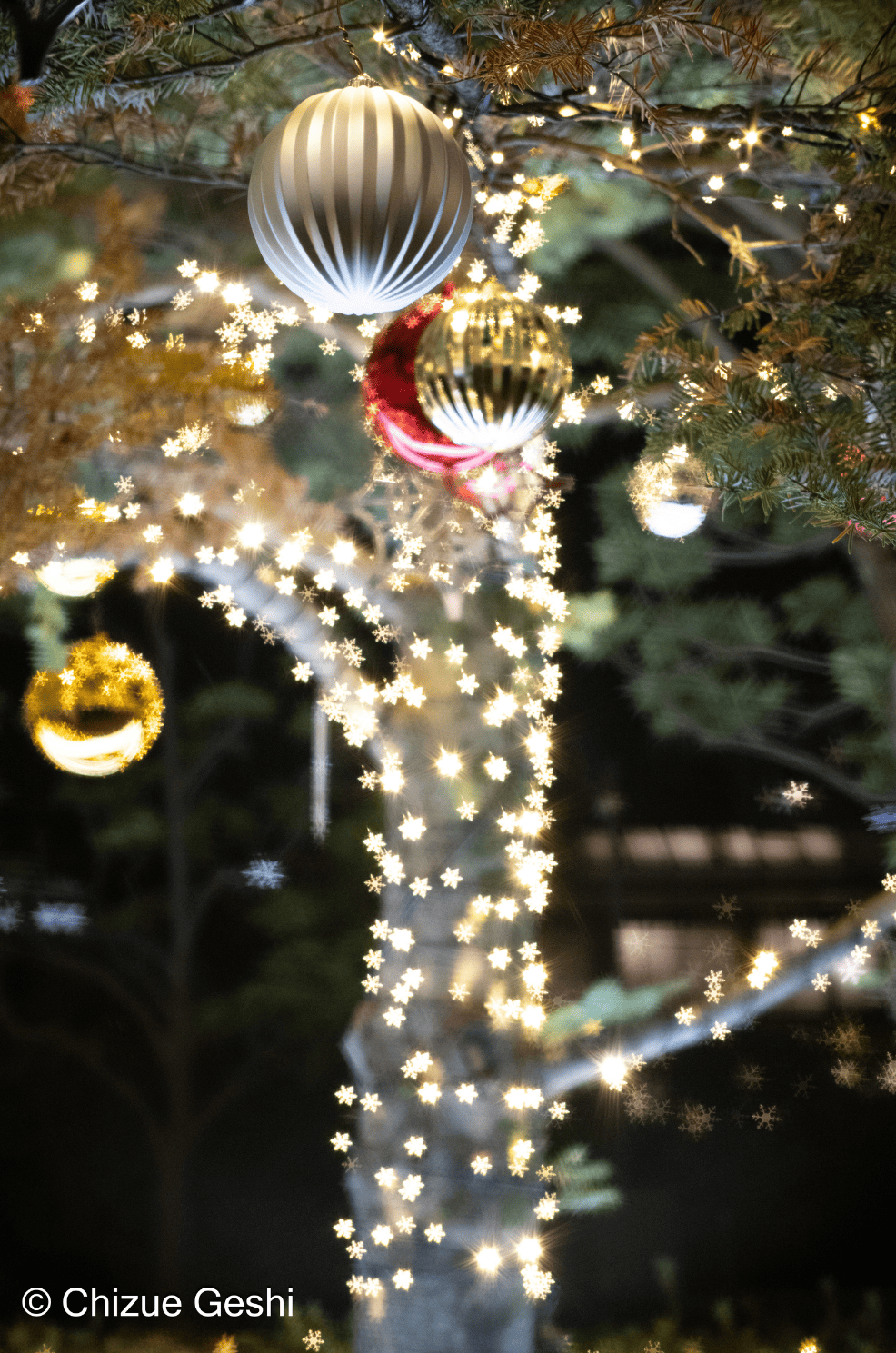 SG-image 50mm F1.8 マイクロフォーサーズマウント