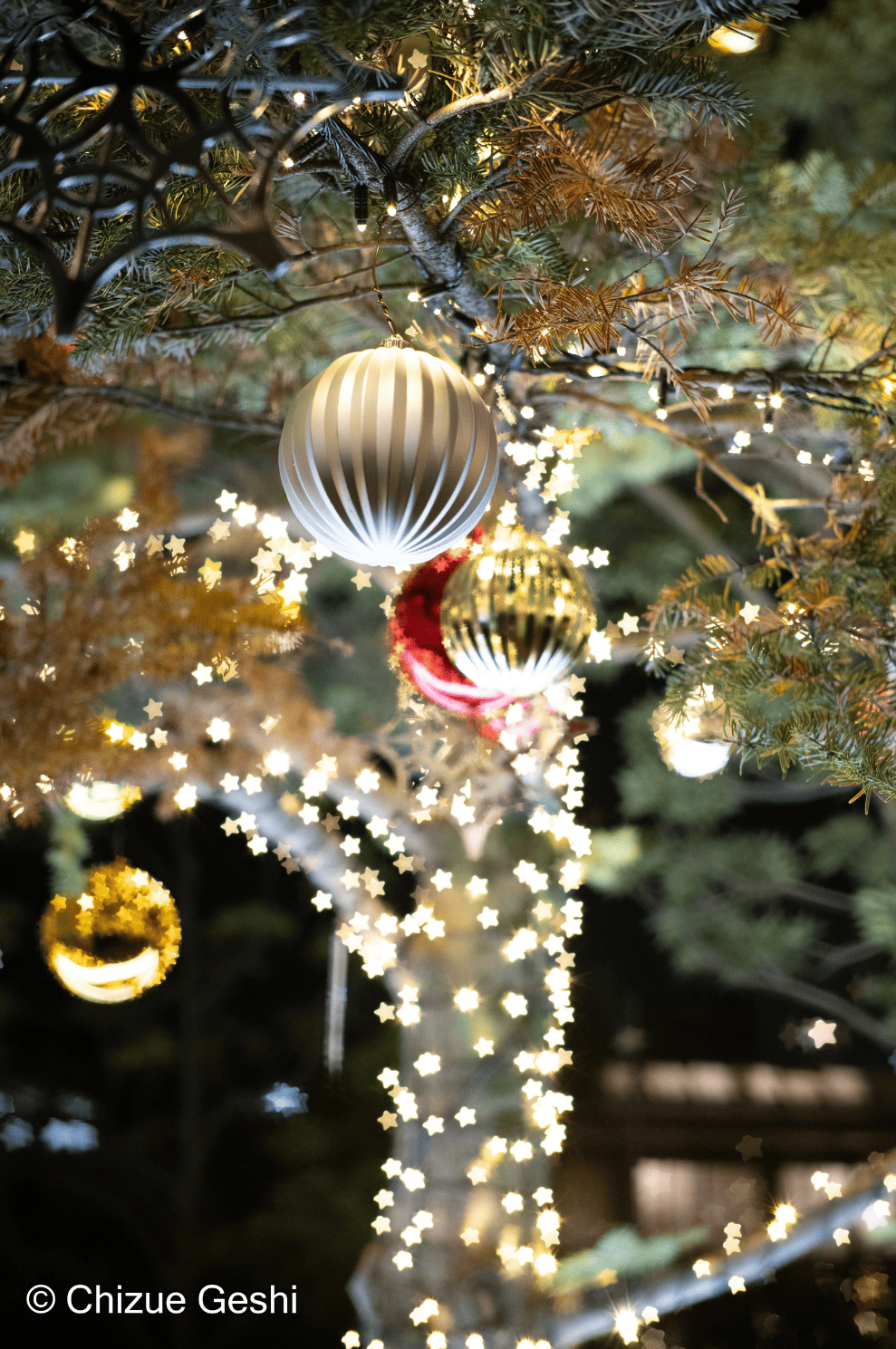 SG-image 50mm F1.8 マイクロフォーサーズマウント