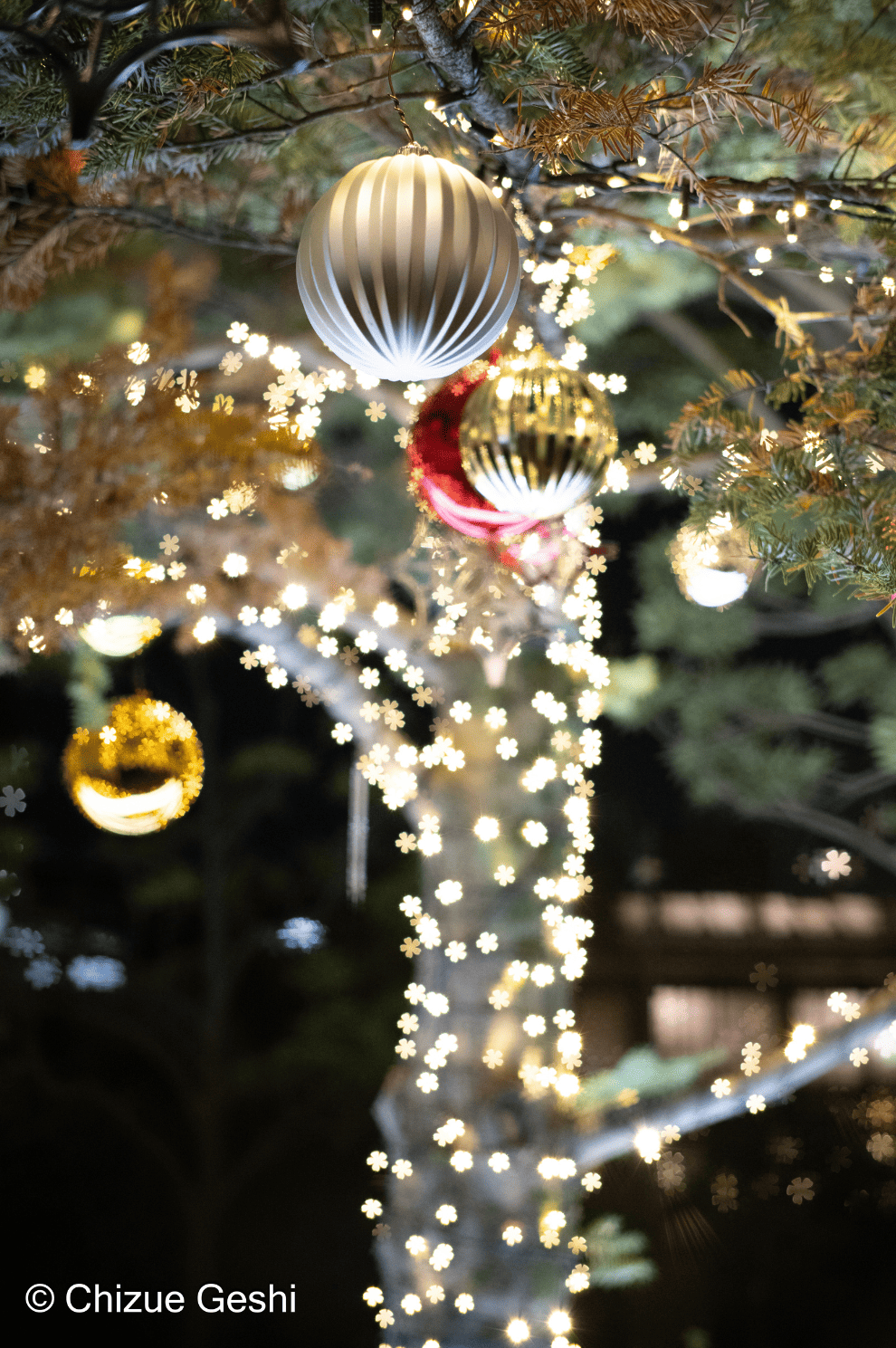 SG-image 50mm F1.8 マイクロフォーサーズマウント