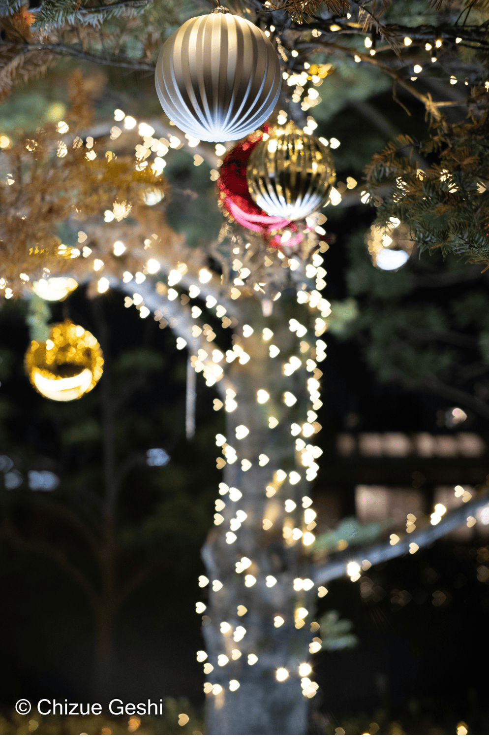 SG-image 50mm F1.8 マイクロフォーサーズマウント