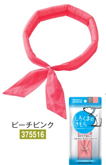 �������ޤΤ�������ԡ����ԥ󥯡�375516��Ǯ����к����ʡ��н���