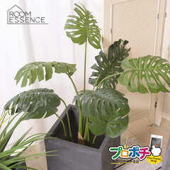 【メーカー直送】GRN-11 フェイクグリーン モンステラ 観葉植物 東谷