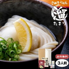 さぬきうどん「溜（たまり）」3人前  | 300g×1 半生うどん 讃岐うどん だし つゆ付き 香川 半生 うどんセット さぬき市 造田 本場さぬきから直送 メール便送料無料