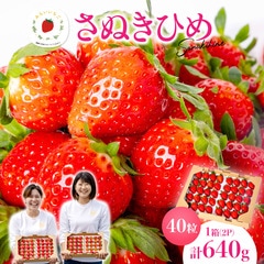 さぬきひめ Lサイズ いちご 40粒 (20粒 320g×2トレー) 1果重 重量16g～20g みらいいちご