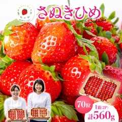 さぬきひめ 2Sサイズ いちご 70粒 (35粒 280g×2トレー)  1果重：重量7g～9g みらいいちご
