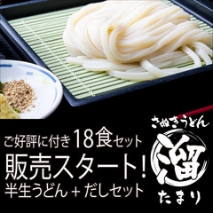 さぬきうどん「溜（たまり）」18人前 | 半生うどん 讃岐うどん だし つゆ付き 香川 半生 うどんセット  グルメ 東かがわ 本場さぬきから直送 送料無料 取り寄せ お取り寄せ お取り寄せグルメ ギフト プレゼント