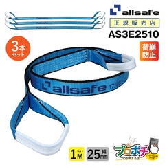 オールセーフ スリングベルト3本 長さ1m 幅25mm  AS3E2510  allsafe【メーカー直送】