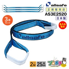 オールセーフ スリングベルト3本 長さ2ｍ 幅25mm AS3E2520 allsafe【メーカー直送】