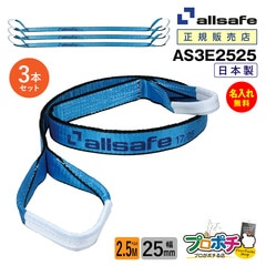 オールセーフ スリングベルト3本 長さ2.5ｍ 幅25mm AS3E2525 allsafe【メーカー直送】