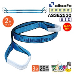 オールセーフ スリングベルト2本セット 長さ3m 幅25mm AS3E2530 allsafe【メーカー直送】