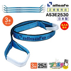 オールセーフ スリングベルト3本 長さ3m 幅25mm AS3E2530 allsafe【メーカー直送】