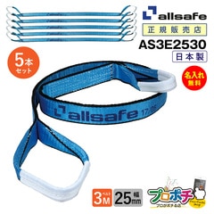 オールセーフ スリングベルト5本 長さ3m 幅25mm AS3E2530 allsafe【メーカー直送】
