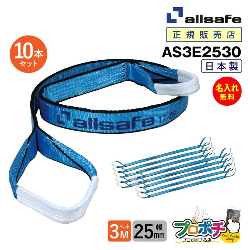 オールセーフ スリングベルト10本 長さ3m 幅25mm AS3E2530 allsafe【メーカー直送】