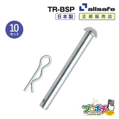 オールセーフ ビームソケット用ピン10個 TR-BSP  allsafe【メーカー直送】