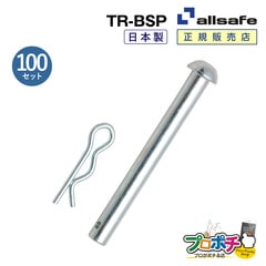 オールセーフ ビームソケット用ピン100個 TR-BSP  allsafe【メーカー直送】
