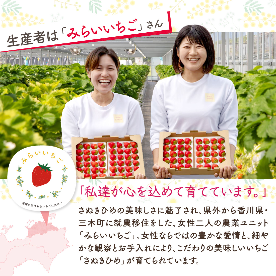 さぬきひめ 2Lサイズ 贈答用 いちご 18粒入（1箱約420g）1果重 重量23g