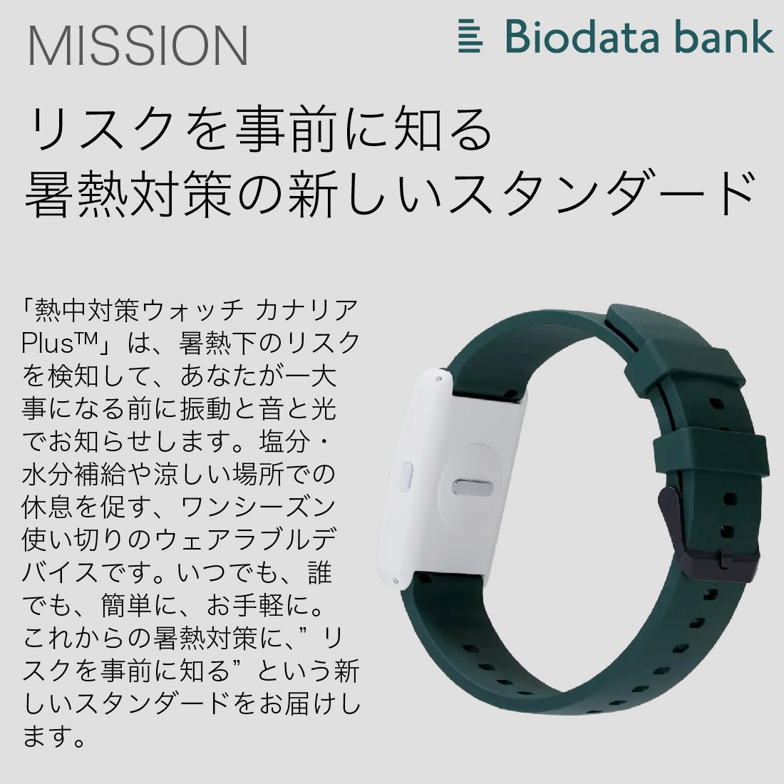 即配】カナリアPLUS 5個セット 2026年モデル BDB20260101 熱中対策