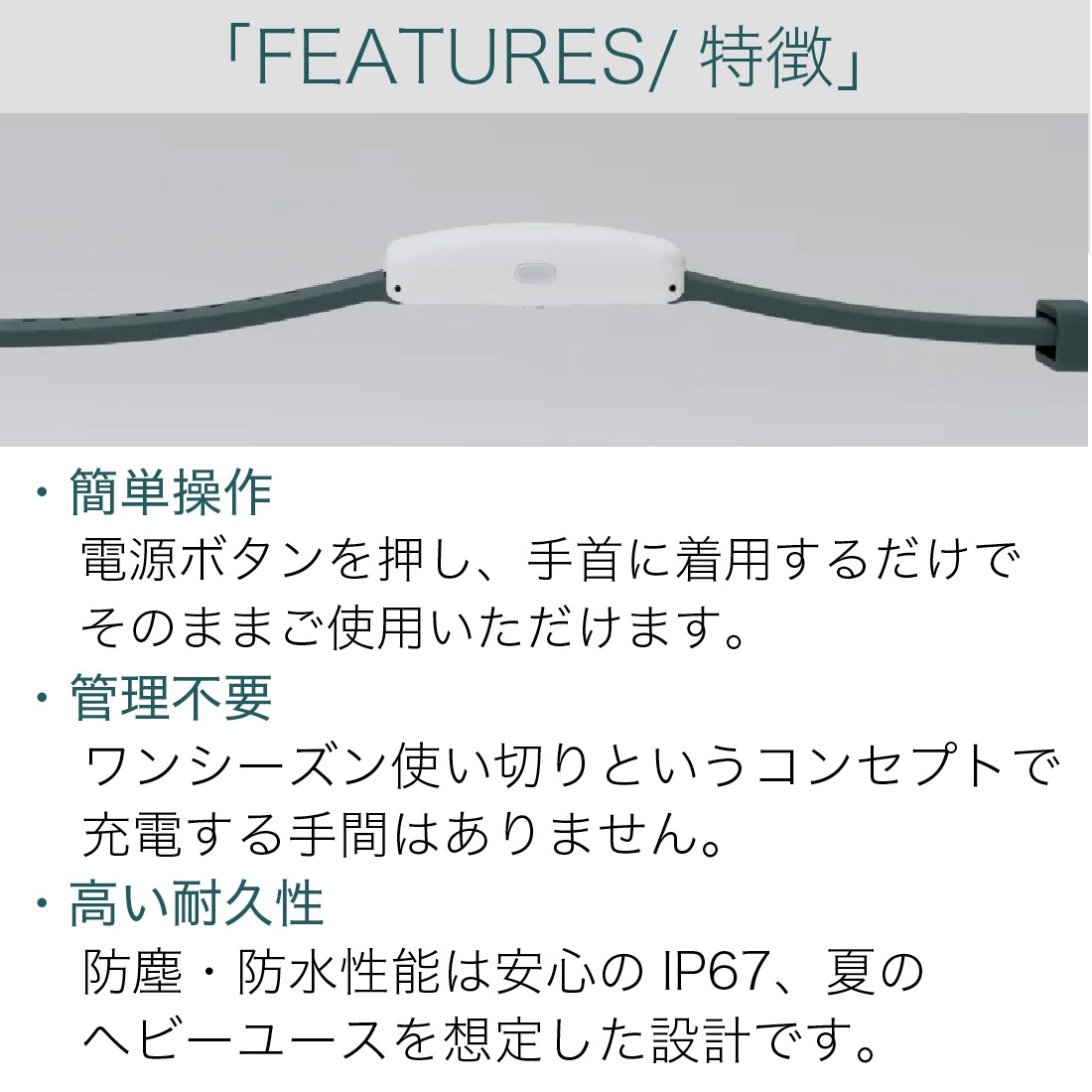 即配】カナリアPLUS 5個セット 2026年モデル BDB20260101 熱中対策