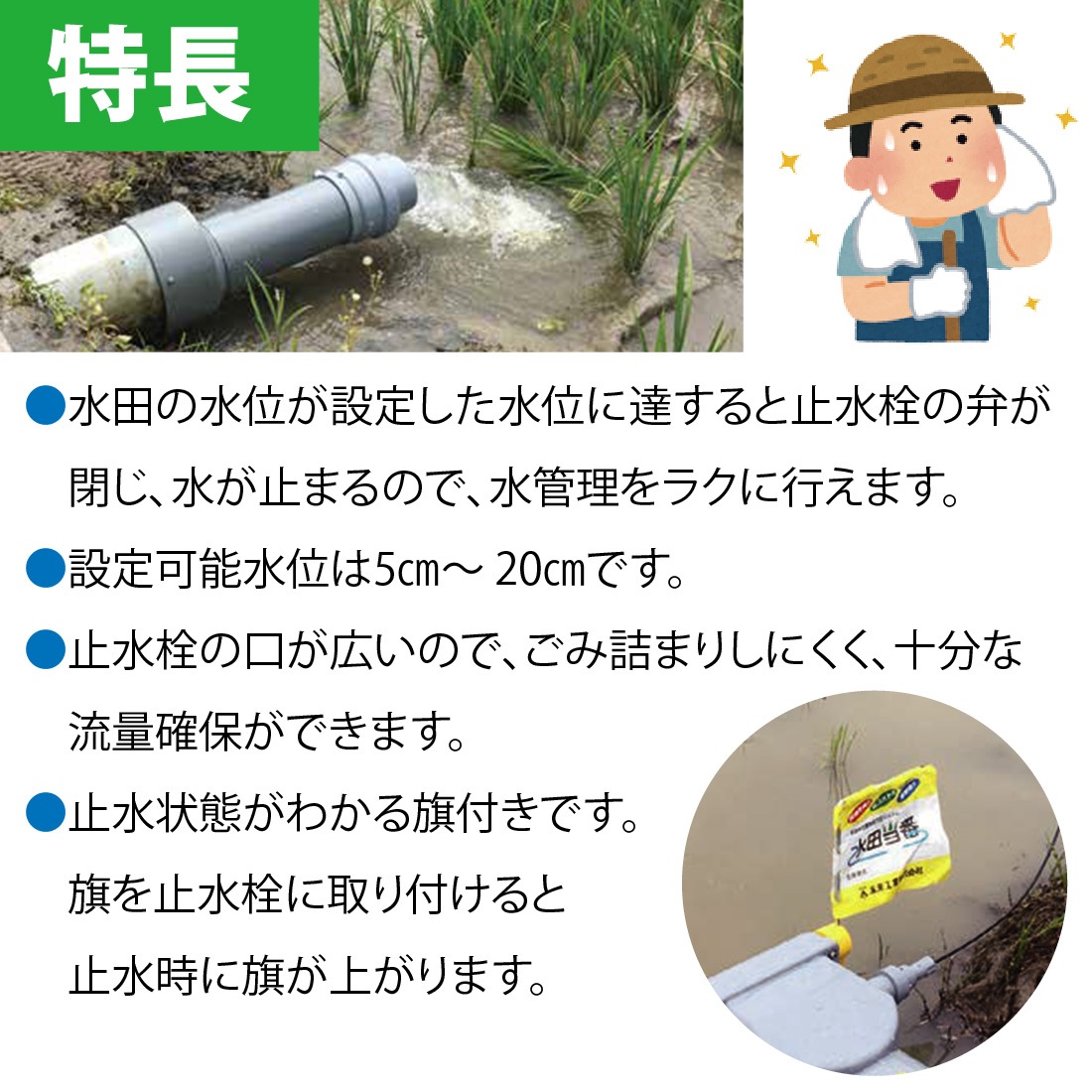 Aできれば配達を18-20に指定お願い Appleよりご注文に関する重要なお知らせ メール | LaoSunZee（らおさん