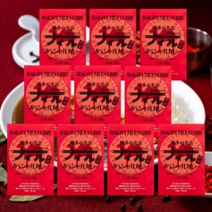 【送料無料】博多ナイルカレースペシャル（レトルト） 10袋入り（北海道・沖縄は別途７５０円の送料がかかります。）