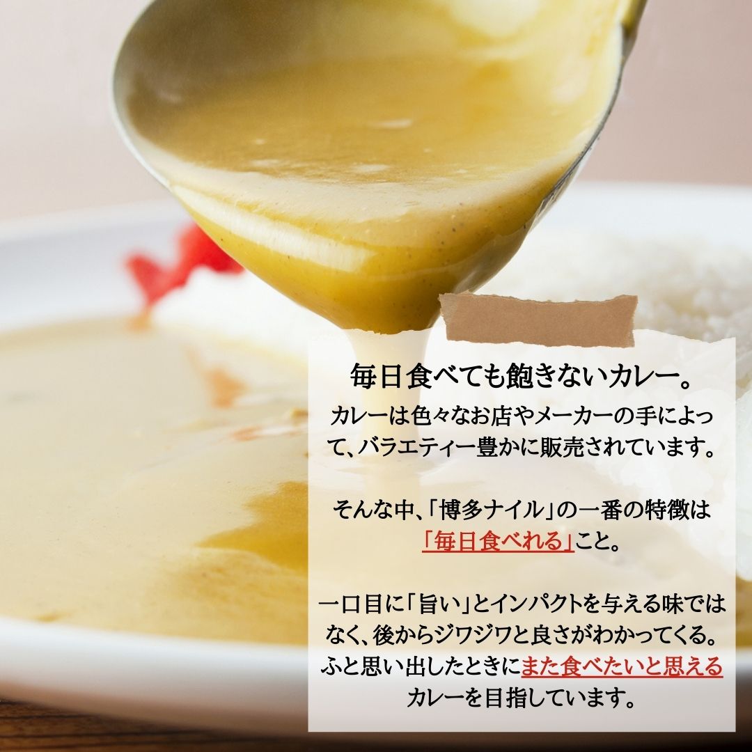 博多の名店ナイル　スペシャルカレー　レトルト　４個セット