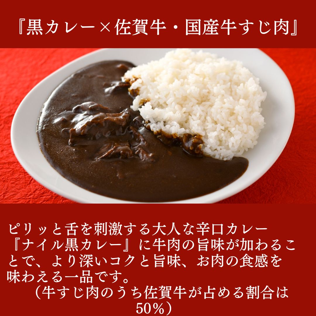 博多の名店　ナイル佐賀牛入り黒カレー　10パックセット※送料無料　一部地域別途送料７５０円