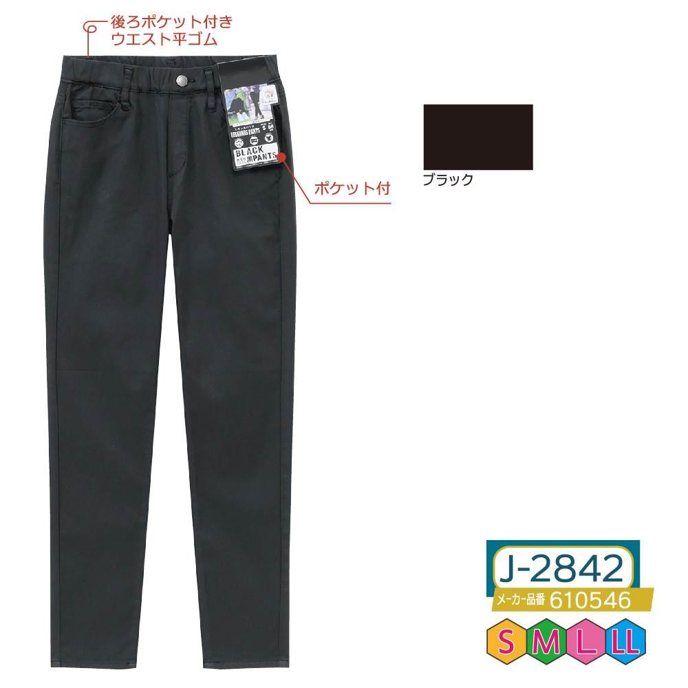 P000 J-2842 ハタラク黒レギパン(610546)