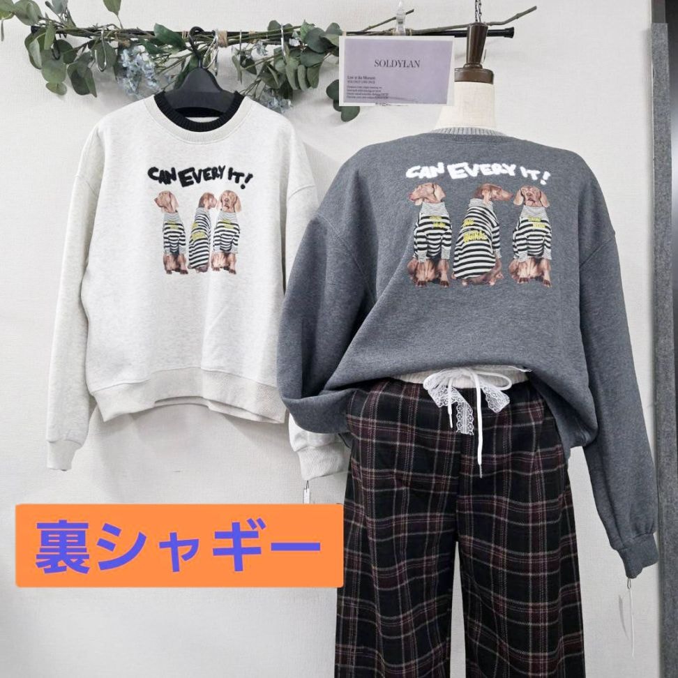 P000【SOLDYLAN】衿リブ ワイマラナーPt 裏シャギーPO（F2KA-A20334）