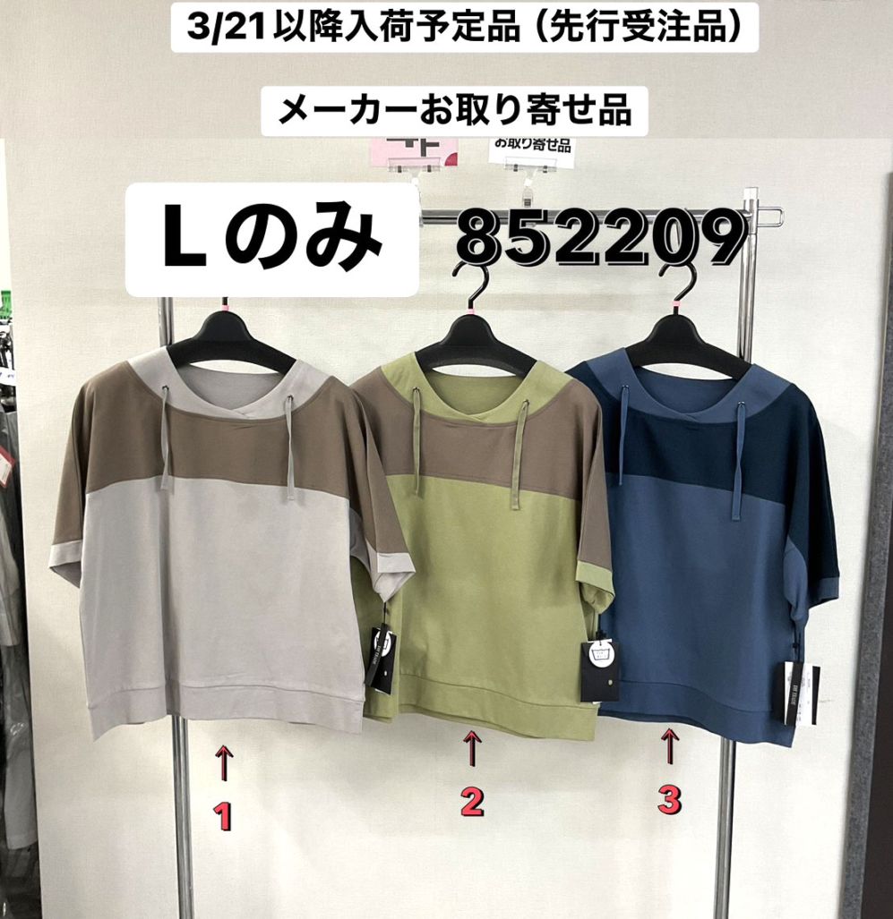 P000【特価】【3/21～入荷】デザインプルオーバー（Lサイズのみ）（48-852209）