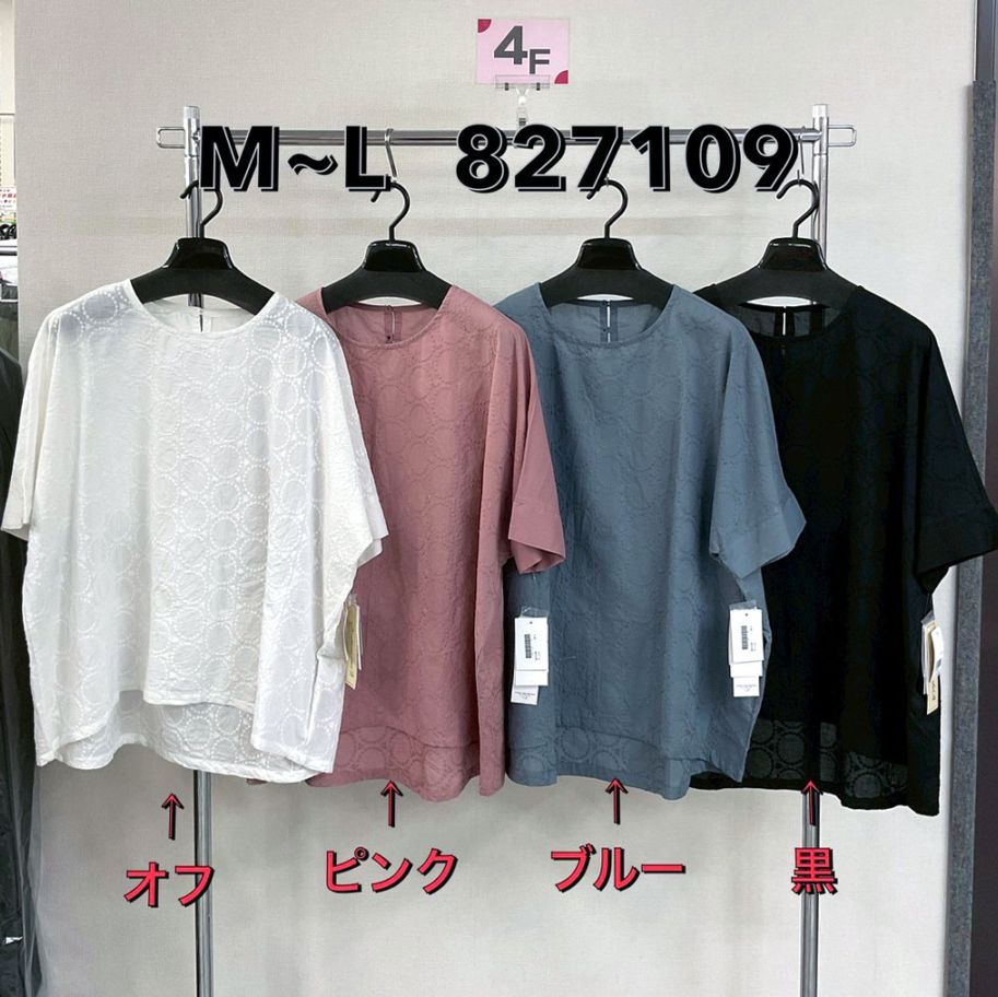 P000 前身サークル刺しゅう総柄 POブラウス（48-827109）