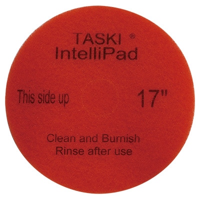 CXS(Х) TASKI ƥѥå 17(2)