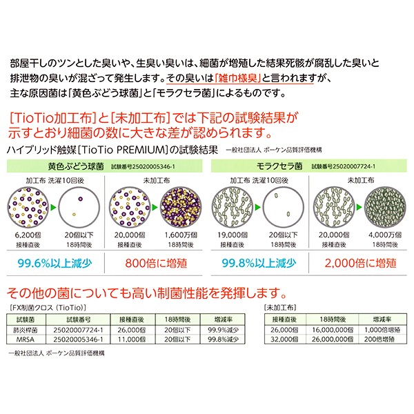 �ƥ���  �ƣ����ݥ�����(�ԣ��ԣ��) ��